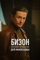 Бизон: Дело манекенщицы 1-14 серии смотреть онлайн бесплатно